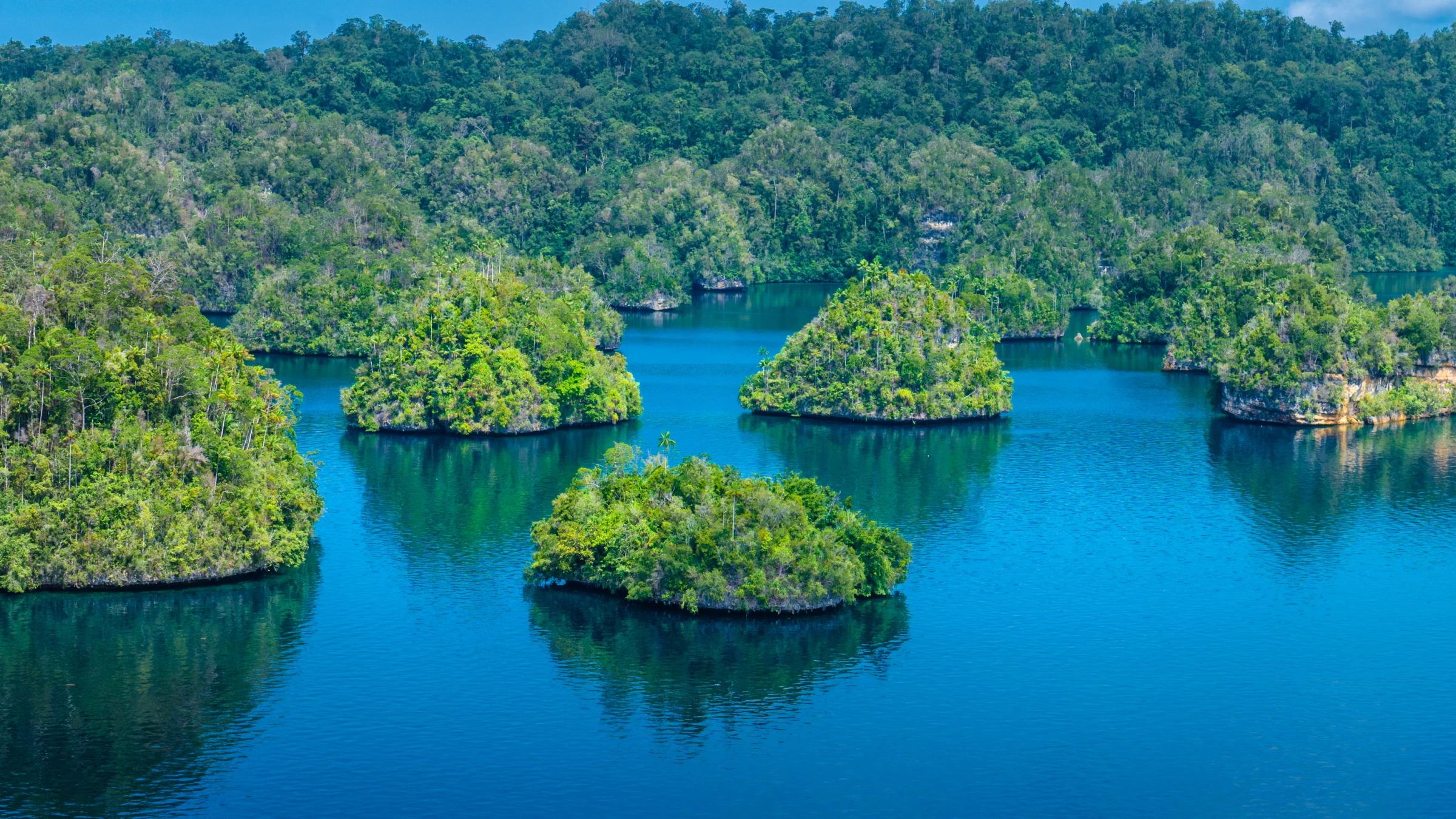 RAJA AMPAT - V TERMÍNU I NA VÁNOCE