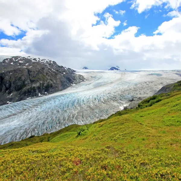 Ledovec Exit N.P., Aljaška