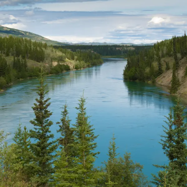 Řeka Yukon v okolí Whitehorse, Kanada