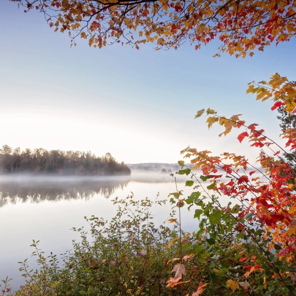 Mlžné ráno, Algonquin P.P., Kanada