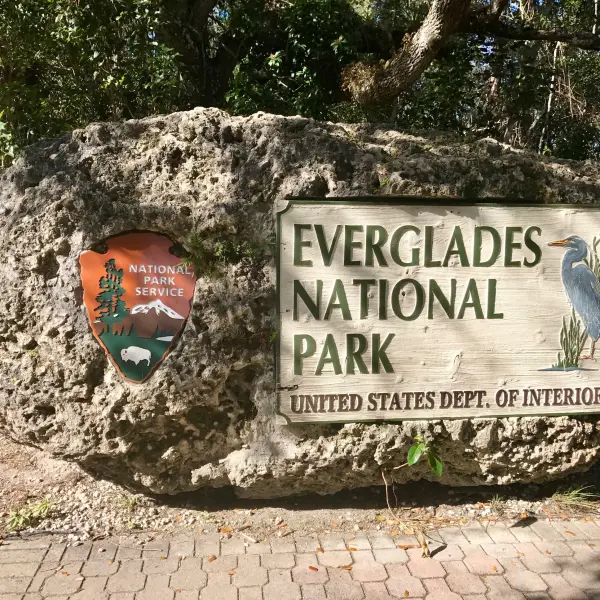 N.P. Everglades, Florida, USA