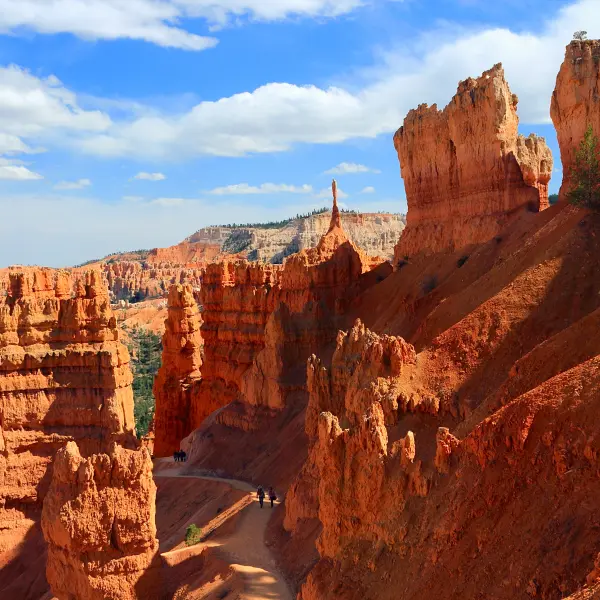 Bryce Canyon N.P., USA