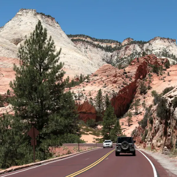 Průjezd N.P. Zion, Utah, USA