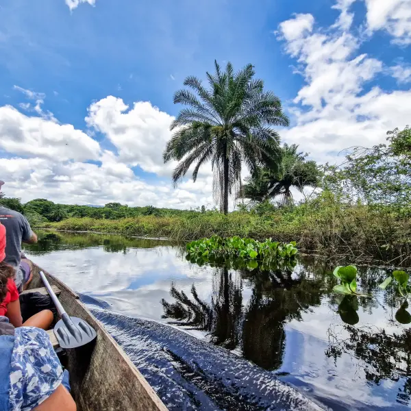 Plavba v Pantanalu, Brazílie