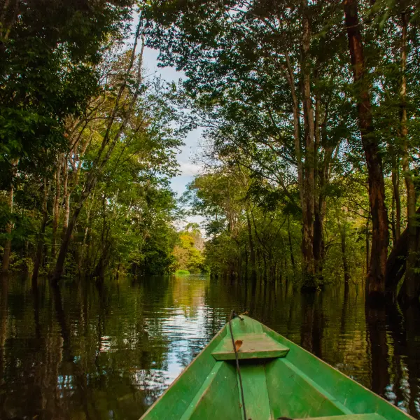 Projížďka po Amazonce, Manaus, Brazílie