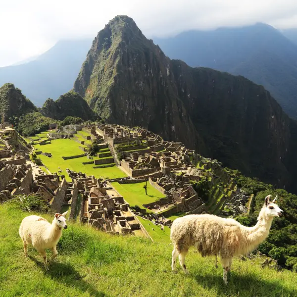 Ikonická Machu Picchu s lamami, Peru