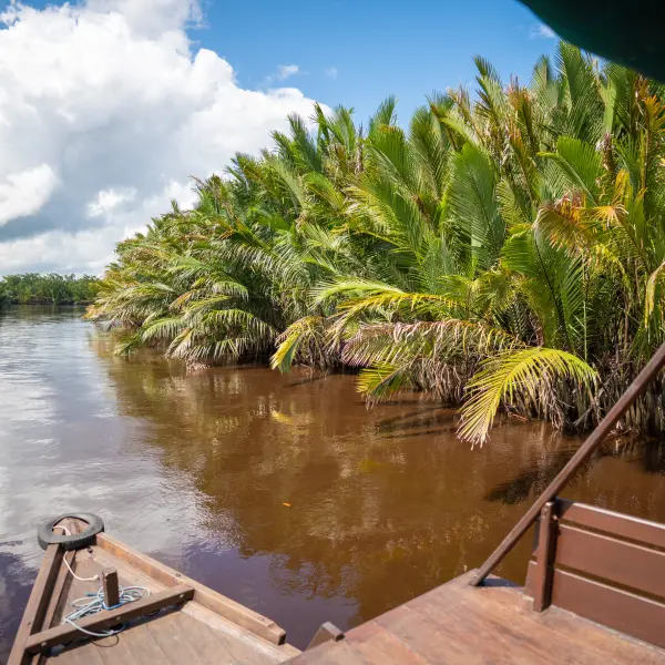 Plavba po řece v N.P. Tanjung Putting, Borneo, Indonésie