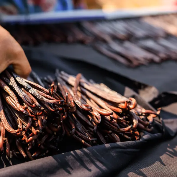 Sklizeň vanilky, Francouzská Polynésie