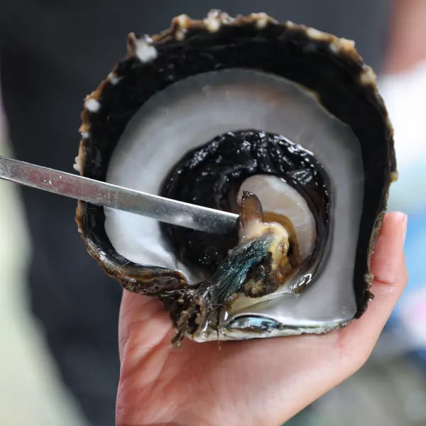 Ukázka lovu perel, Tahiti, Francouzská Polynésie