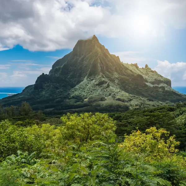 Zátoka Oponuhu a kapitána Cooka, Moorea, Francouzská Polynésie