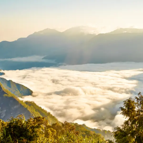 Mlžné ráno v N.P. Ališan, Taiwan