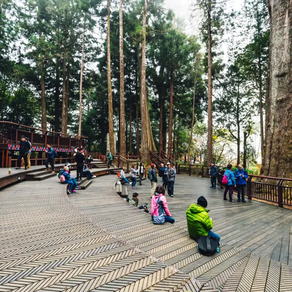 Tisícileté cypřiše, N.P. Ališan, Taiwan