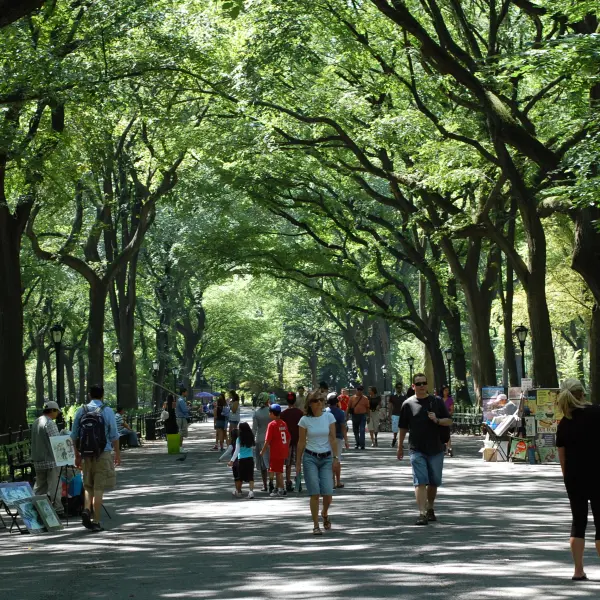 Central Park, New York City, USA