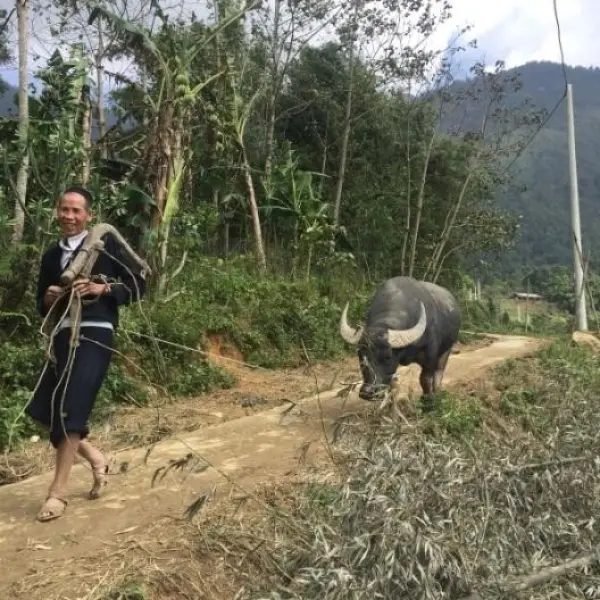 Život na vesnici, Vietnam