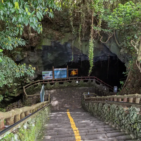 Schody před vstupem do jeskyně Mandžanggul, Jižní Korea