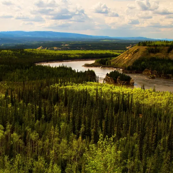 Peřeje Five Finger Rapids, Yukon, Aljaška