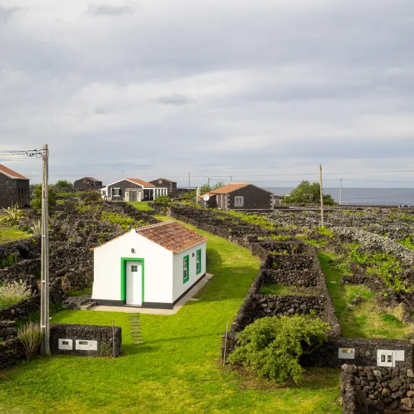Biscoitos vinice, Terceira, Azorské ostrovy