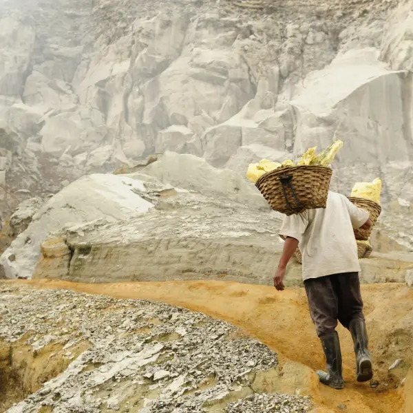 Muž nesoucí síru ze sirné sopky, N.P. Baluran, Jáva, Indonésie