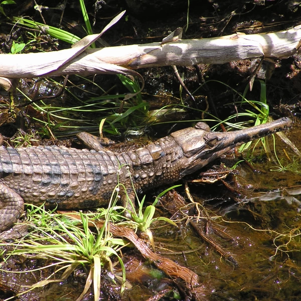Obrázek 14