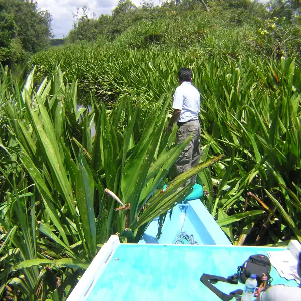 Národní park Tanjung Putting, Indonésie