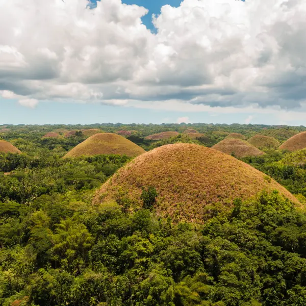 Čokoládové hory, Bohol, Filipíny