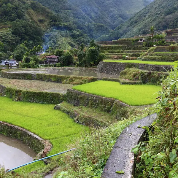 Filipínské rýžové terasy, Filipíny