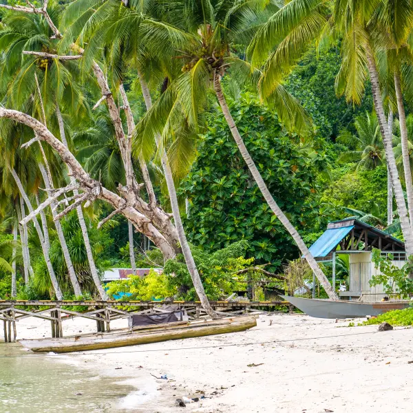 Dřevěný přístav a molo, ostrov Gam, Raja Ampat, Indonésie