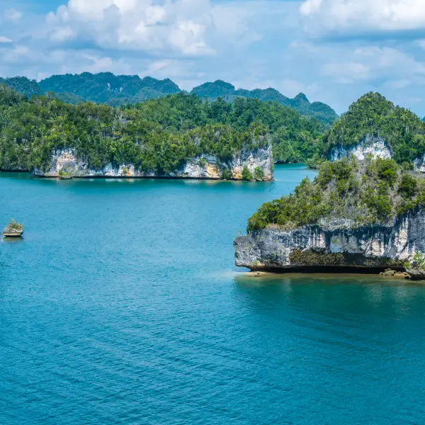 Krajina se skálami, Raja Ampat, Indonésie