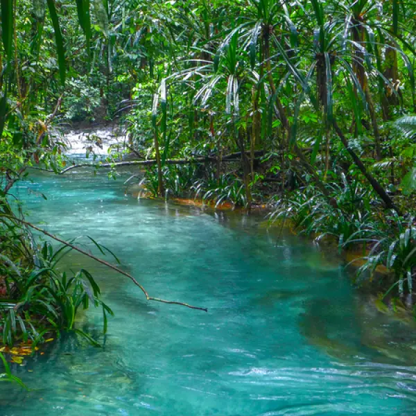 Modrá řeka v džungli, Waigeo, Raja Ampat, Indonésie