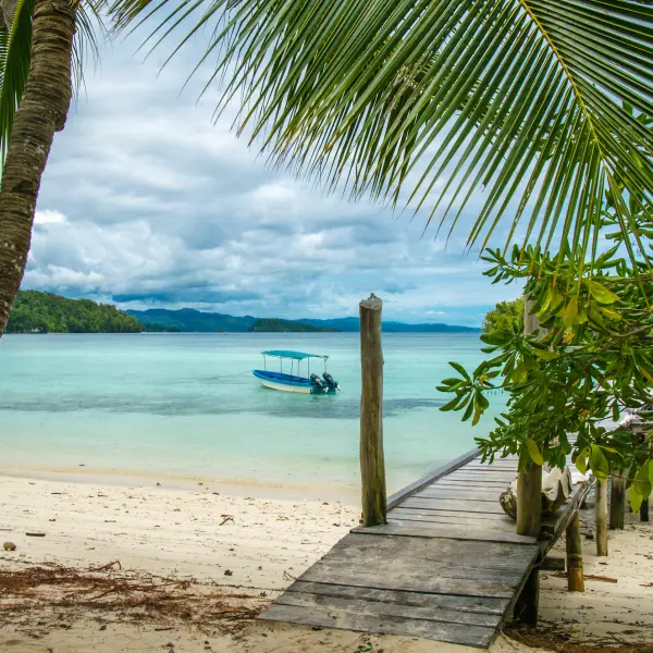 Nádherná modrá laguna s palmami,  Ostrov Gam, Raja Ampat, Indonésie