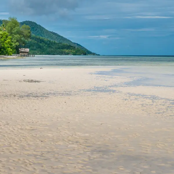 Plž s bělostným pískem při odlivu, Raja Ampat, Indonésie
