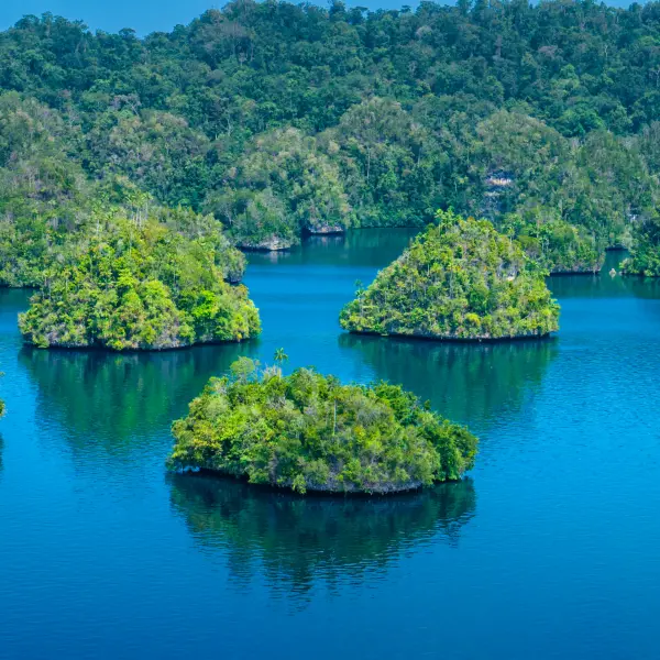Skály v moři pokryté palmami, Raja Ampat, Indonésie