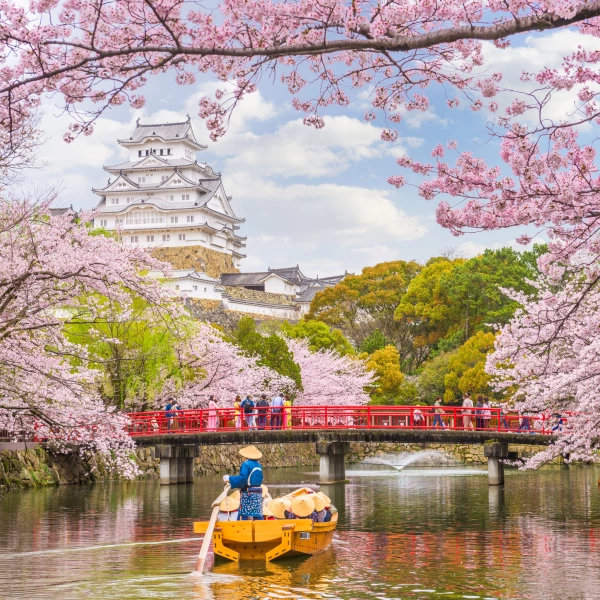 Pohled na japonský hrad Himedži při rozkvetlých sakurách, Japonsko