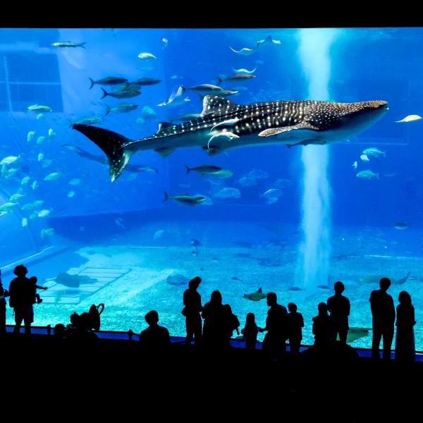 Obří akvárium Ocean Expo park, Okinawa, Japonsko