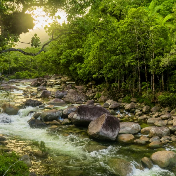 Děštný prales Mossmana Gorge, Austrálie