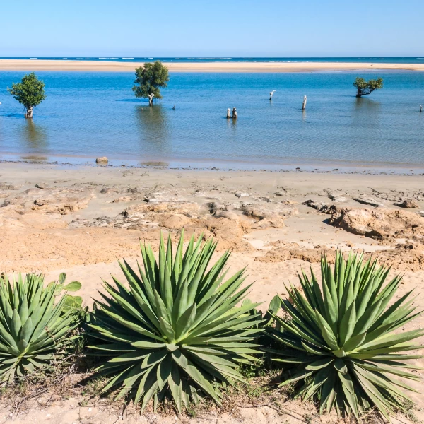 Pohled na oceán, Madagaskar