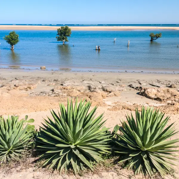 Pohled na oceán, Madagaskar