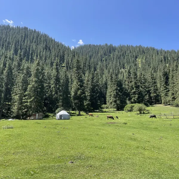 Údolí Altyn Arashan, Kyrgyzstán