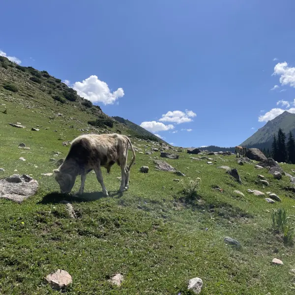 Údolí Jety-Ögüz, Kyrgyzstán