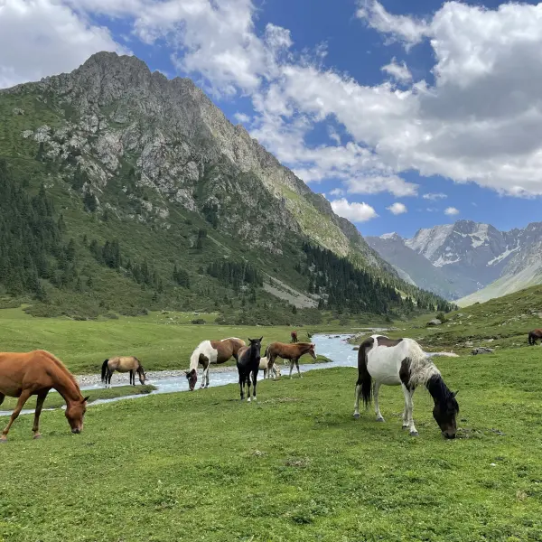Okolí jezera Issyk, Kyrgyzstán