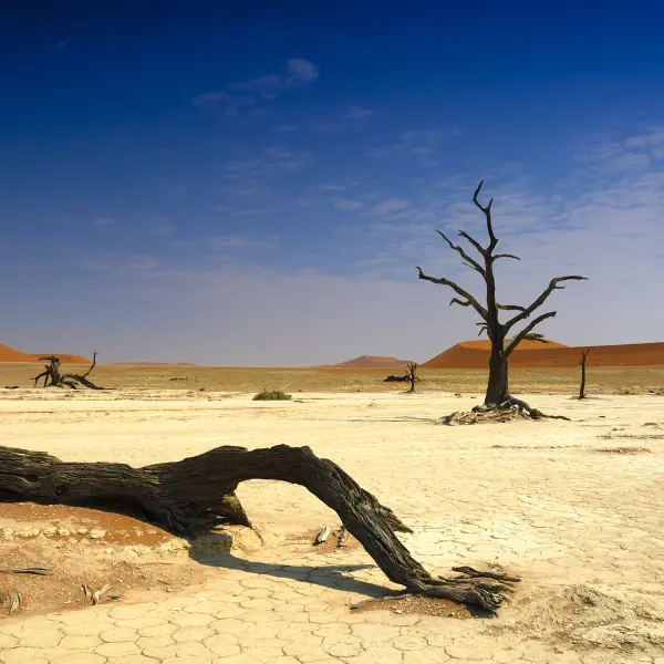 Dead Vlei, Namibie