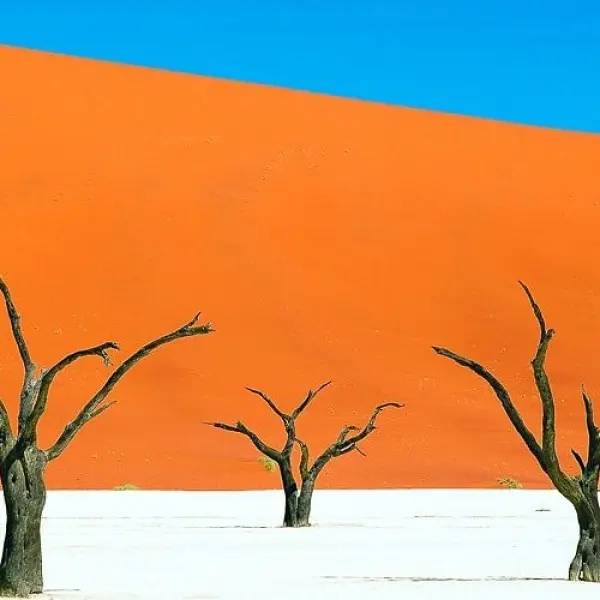 Dead Vlei, Namibie
