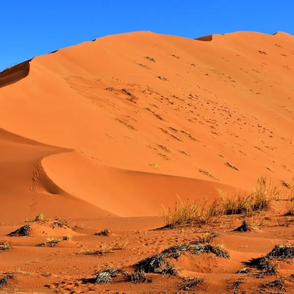 Poušť Namib, Namibie