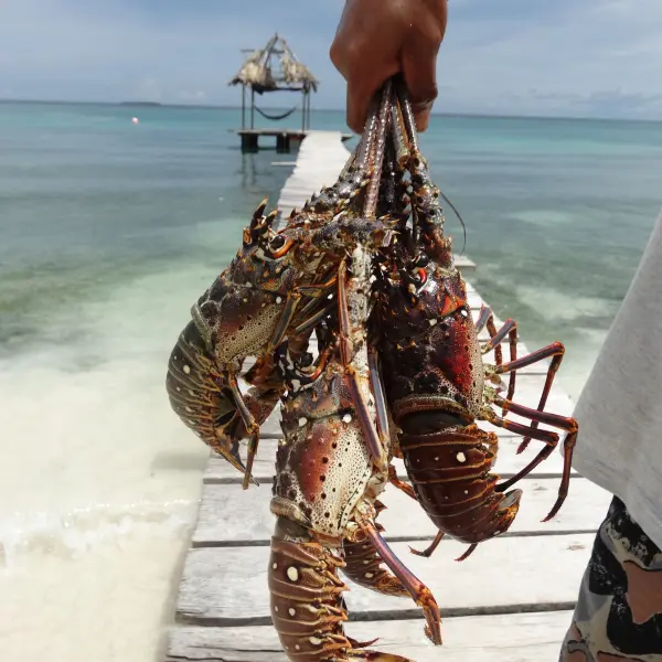 Islas del Rosario, Kolumbie