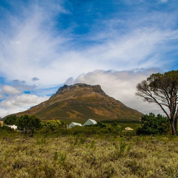 Krajina v oblasti Stellenbosch, JAR