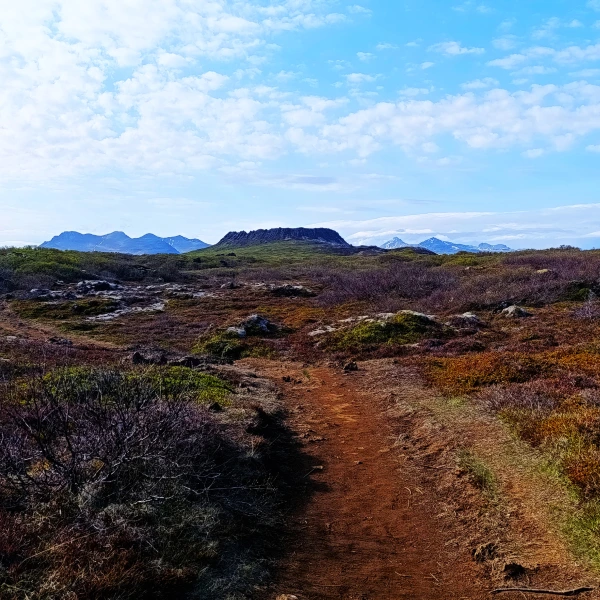Kráter Elborg, Island
